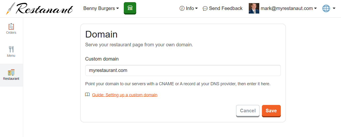 Domain settings with a custom domain entered